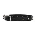 BEAU Pets Leather Deluxe Studded Dog Collar - 50cm / Black