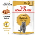 Royal Canin British Shorthair Adult In Gravy Wet Cat Food - 85g