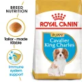Royal Canin Cavalier King Charles Puppy Dry Dog Food - 1.5kg