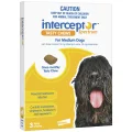 Interceptor Spectrum Tasty Chews Worming Treatment Medium Dog - 3pk