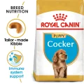 Royal Canin Cocker Spaniel Puppy Dry Dog Food - 3kg