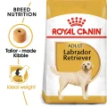 Royal Canin Labrador Retriever Adult Dry Dog Food - 3kg