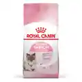Royal Canin Mother And Baby Cat Dry Cat Food - 10kg