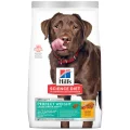 Hill's Science Diet Perfect Weight Adult Large Breed Dry Dog Food - 11.3kg