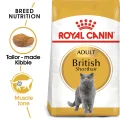 Royal Canin British Shorthair Adult Dry Cat Food - 10kg
