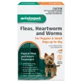 Aristopet Animal Health Fleas, Heartworm And Worms For Puppies and Small Dogs Up to 4Kg - 3pk