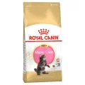 Royal Canin Maine Coon Kitten Dry Cat Food - 10kg