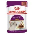 Royal Canin Sensory Smell Chunks in Gravy Wet Cat Food - 85g