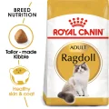 Royal Canin Ragdoll Adult Dry Cat Food - 2kg