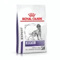 Royal Canin VET Dental Medium & Large Adult Dry Dog Food - 6kg