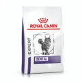 Royal Canin VET Dental Dry Cat Food - 1.5kg