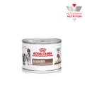 ROYAL CANIN VETERINARY DIET Recovery Adult Wet Food Cans - 195g