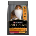 Pro Plan Medium Breed Adult Chicken Dry Dog Food - 3kg