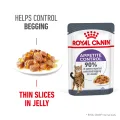 Royal Canin Appetite Control Jelly Adult Wet Cat Food Pouches - 85g