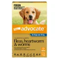 Advocate Flea & Worming Treatment 25kg+ Dog - 3pk
