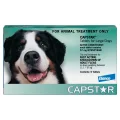 Capstar Flea Treatment 11-57kg Dog 6 Pack - 6pk