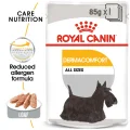 Royal Canin Dermacomfort Loaf Adult Wet Dog Food - 85g