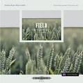 Edition Peters Field: Nocturne No. 5 Music Book: From the Series More Than the Score..., Sheet