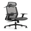 Brateck Ergonomic Mesh Office Chair with Headrest, Steel Mesh, 655 x 675 x 1165-1265 mm, Black