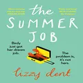 The Summer Job: A hilarious story about a lie that gets out of hand - soon to be a TV series