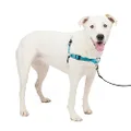 PetSafe Deluxe Easy Walk Dog Harness - Martingale Loop with D-ring Stops Pulling - Training And Behavior Aid - Reflectivity Enhances Visibility in Low Light - Comfortable Padding - Ocean/Black - M/L