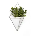 Umbra Trigg Hanging Planter Vase & Geometric Wall Decor Container-for Succulent, Air, Mini Cactus, Faux Plants and More, Large, White/Nickel Decor