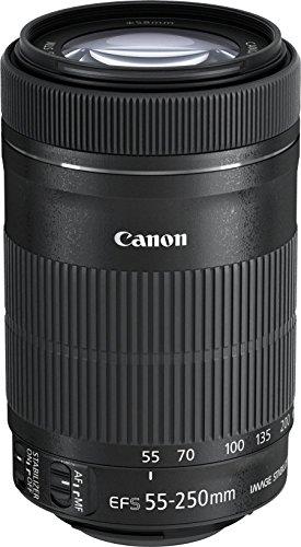 Canon EF-S 55-250mm f/4-5.6 is STM Zoom Lens