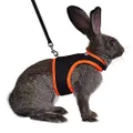 Niteangel Adjustable Soft Harness with Elastic Leash for Rabbits (M, Black)