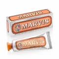 Marvis Ginger Mint Toothpaste 25 ml