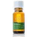 Oil Garden Lavender 100% Pure Essential Oil Therapeutic Aromatherapy 25ml