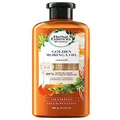 Herbal Essences Bio, Renew Golden Moringa Oil Smoothing Shampoo For Frizzy Hair 400ml