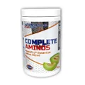 International Protein Honeydew Melon Flavour Complete Aminos BCAAs Powder 320 g