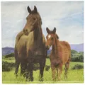 Creative Converting Horse and Pony Lunch Napkins 16-Pieces