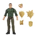 Marvel - Legends Series - 6 Inch Sandman - Spiderman - 1 Accessory - Premium Design - Collectible Action Figure and Toys for Kids - Boys and Girls - F2793 - Ages 4+
