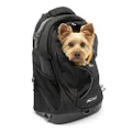 Kurgo Dog Carrier Backpack for Small Pets - Dogs & Cats | TSA Airline Approved | Cat | Hiking or Travel | Waterproof Bottom | G-Train | K9 Ruck Sack | Black (ZCR30-17136)