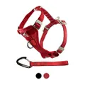 Kurgo Tru-Fit Crash Tested Dog Harness, Enhanced Strength Dog Vest, Dog Safety Harness With Pet Seat Belt Tether for Car, Medium, Red