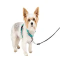 PetSafe 3 in 1 Harness and Car Restraint, Extra Small, Teal, No Pull, Adjustable, Training for Small/Medium/Large Dogs