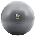 Everlast Core Strength Ball, 55cm, Grey