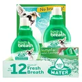TropiClean Fresh Breath No Brushing Teeth Cleaning Dental Health Water Additive Solution for Cats 6 piece display