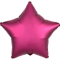 ANAGRAM INTERNATIONAL 3682901 Party Balloons, 19", Pomegranate