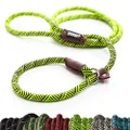 Friends Forever Extremely Durable Dog Rope Leash, Premium Quality Training Slip Lead, Reflective, Thick Heavy Duty, Sturdy, No Pull, Comfortable for The Strong Large Medium Small Pets 6 feet, Green