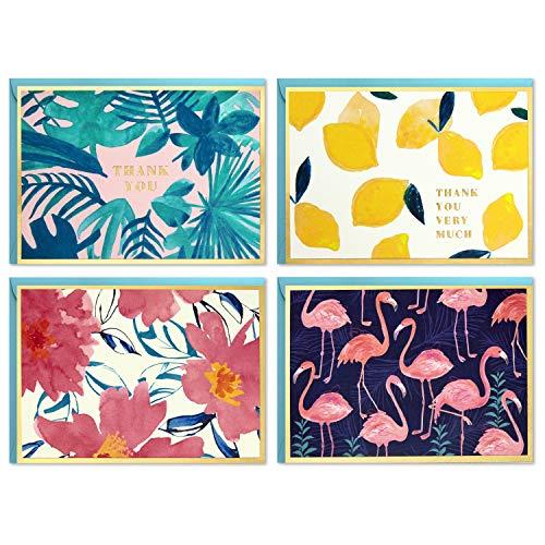 Hallmark Boxed Thank You and Blank Cards Assortment (Four Assorted Tropical Designs, 40 Note Cards and Envelopes)