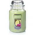 Yankee Candle Pineapple Cilantro Classic Jar Candle, Large