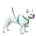 PetSafe 3 in 1 No-Pull Dog Harness for Small Dogs - Walk, Train or Travel - Helps Pets from Pulling on Walks - Seatbelt Loop Doubles as Quick Access Handle - Reflective- Small, Teal