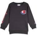 Champion Unisex Kids Sporty Crew Pullover Sweater, Charlottes Web, 10 UK
