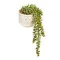 Cooper & Co. Homewares Artificial Potted String of Pearls Plant in Ceramic Pot, 40 cm