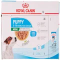 Royal Canin Canine Mini Puppy Wet Dog Food 12x85g