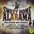 Sweet Home Alabama 2