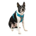 Kurgo Journey Air (TM) Dog Running Harness, Dog Walking Harness, Dog Hiking Harness, Dog Harness, Grey/Blue, X-Small, S
