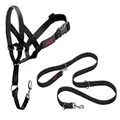 HALTI Headcollar Size 3, Black & HALTI Training Leash Size Large, Black Combination Pack - Stop Your Dog Pulling on The Leash. Adjustable, Lightweight with Padded Nose Band. Suitable for Medium Dogs